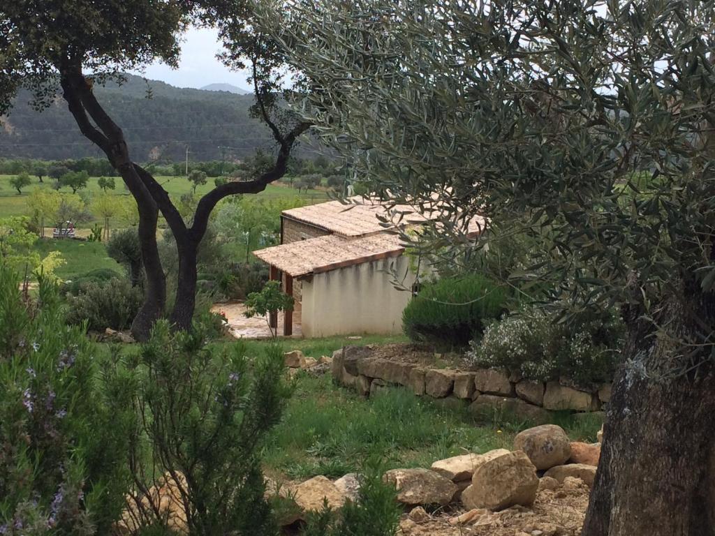Гостевой дом Alen D'Aragon Санта-Эулалия-де-Гальего Номер фото